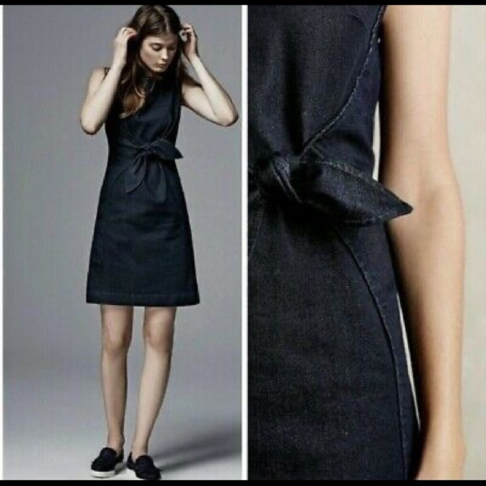 Anthropologie Holding Horses Clara Denim Dress 10